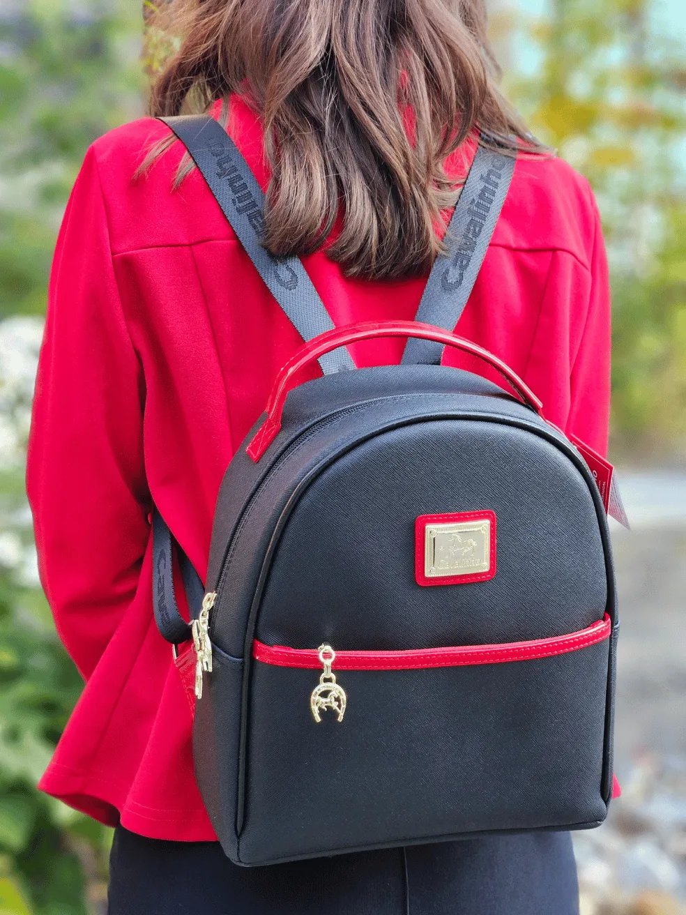 Deluxe Backpack