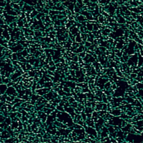 Disco, Inc 85410 Scrub Scour Pads